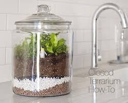 The Frame A Design Blog By Crate And Barrel Crate And Barrel Terrarium Diy Terrarium How To Make Terrariums
