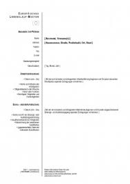 Download europass cv on your computer and easily find a job in this template in word format is available in several languages, in such a way that you'll be able to send your curriculum in various languages to. Cv Templates European Curriculum Vitae Resume Templates