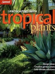 Robot Check Tropical Garden Design Tropical Garden Tropical Landscaping