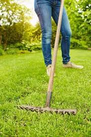 Es Grunt So Grun Rasenpflege Im Fruhjahr Gruner Rasen Garten