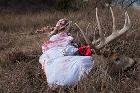 Deer, elk, moose, caribou, antelope & hogs. Review Ovis Sacks Lightweight Game Bags Rokslide