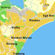 Bildergebnis für Karin Schou Andersen