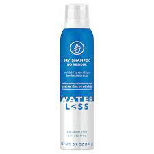 No dryer will make your hair more marvelously voluminous and glossy than another. The 11 Best Dry Shampoos Under 20 Of 2021 Editor Reviews Allure