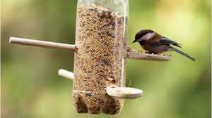 Selecciona el departamento que quieras buscar. Daily Discovery Recycled Bird Feeder Descubrimiento En Casa Reciclando Comedero Para Pajaros Fort Collins Museum Of Discovery