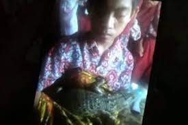 Mimp i berhubungan intim dengan monyet artinya akan dicemooh dan direndahkan derajat. Diyakini Kembaran Anaknya Buaya Berjari Lima Ini Selalu Datang Dan Hilang Misterius Halaman All Kompas Com