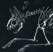 Maybe you would like to learn more about one of these? Cat Skeleton By Clickclack On Deviantart