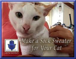 They Tried To Put Me On The Cover Of Vogue Cat How To Make A Sock Sweater For Your Cat No Sewing Kitten Sweater Knitting Patterns Toys Modern Knitting Patterns