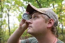 CAUV and responsible forestry management