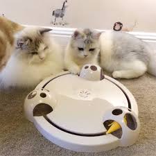Pin On Cat Toys