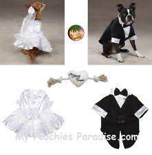 paper faces gelin damat kopekler gelin damatlar evlilik