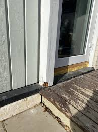 Image result for site:byggahus.se träskada