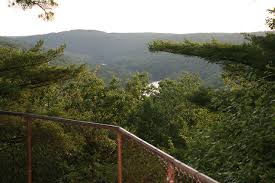 Cook forest state park's forest cathedral of towering white pines and hemlocks is a national natural landmark. Cook Forest State Park