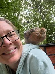 Backyard Chickens of Brandermill