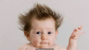 Dan adam ko dabba? Wanne ne wannan?