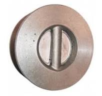 Dual plates check valve