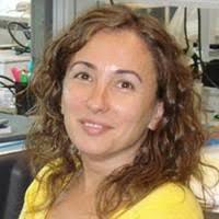 80+ "Gemma Dominguez" profiles