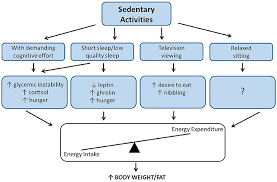 Experts say a daily routine that includes a lot of sitting can lead to health issues such as heart disease and type 2 diabetes. Frontiers Sedentariness And Health Is Sedentary Behavior More Than Just Physical Inactivity Public Health