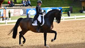Reitmeisterin dorothee schneider gibt uns auf sehr anschauliche und ästhetische weise faszinierende einblicke in ihre. Reiterin Dorothee Schneider Mit Verletzung Auf Showtime