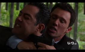 SPOILER*** Burn Notice 3×13 “Partners in Crime” Review