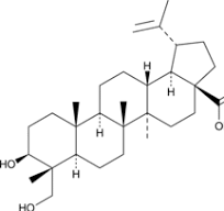 23-hydroxy Betulinic Acid - 1 mg
