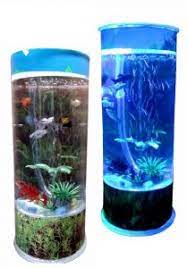 Kaca aquarium yang bening dan bersih membuat kita semakin mudah untuk menikmati indahnya alam bawah air. 10 Aquarium Terbaik Di Indonesia 2021 Bagus Cantik Untuk Di Rumah