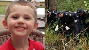 William tyrrell (born 26 june 2011) is an australian boy who disappeared at the age of three from kendall, new south wales, on 12 september 2014. William Tyrrell Wiki Bio Age Height Missing Parents Sister