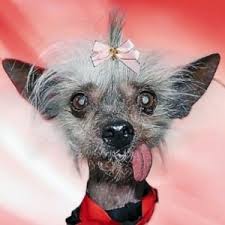 images?q=tbn:ANd9GcT2P7WElGleg-p5FmFtI8NandjbOJDXjCWMGoPr10i3fN4thLuulg