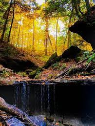 Shades State Park Indiana Cool Places To Visit Indiana Cities State Parks