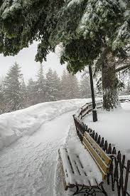 stay in touch with our new posts knives bushcraft survival survivalist outdoor survival gear best survival gear bushcraft