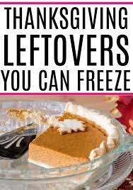 Check spelling or type a new query. Awesome Tips For Freezing Thanksgiving Leftovers Frugally Blonde