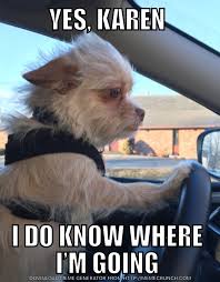 Pin On Funny Dogs And Cats