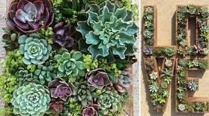 They are easy to maintain and very ideal to take part in many diy jobs for your interior and exterior room. 10 Creative Succulent Garden Ideas The Succulent Source