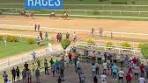🐎 Horse racing fans, come enjoy the live races at Santa Rosa ...