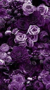 Picocean finds 35 original purple aesthetic flowers related pictures for you to download online, including purple aesthetic flowers background wall pictures . Terrific Images Purple Flowers Aesthetic Style Purple Flowers Are Probably The The Majority Of Ey In 2021 Purple Flowers Wallpaper Purple Flowers Purple Flowers Garden