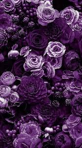 As the name suggests, aesthetic purple is very pleasing to the eye. Purple Flowers Purple Flowers Wallpaper Purple Flowers Purple Wallpaper Iphone