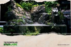 What Is a Vivarium? Explore a Miniature World That Recreates Nature in Your  Living Space | Terrariumvibe