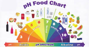 the ultimate guide to an all alkaline diet with