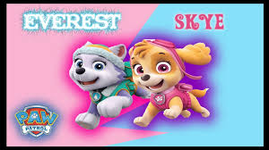 Free shipping on orders over $25 shipped by amazon. Skye And Everest Wallpapers Wallpaper Cave