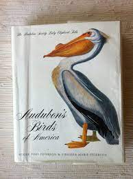 The sun cafe + bar. Vintage Audubon Bird Book Coffee Table Huge Baby Elephant Folio Bird Book Audubon Birds Bird