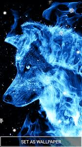 Blue Wolf Wallpaper Paulbabbitt Com Click any of the tags below to browse for similar wallpapers and stock photos:
