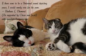 Karen mccomb was the lead author of a study at the university of sussex in england that was. Power Of The Purr Manifested Harmony