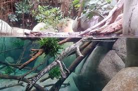 Bonne journée von les jardins animaliers biotropica. Val De Reuil Un Nouvel Espace Au Parc Biotropica