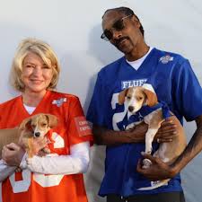 Here's martha stewart's tweet about the new show. Martha Stewart And Snoop Dog Host Puppy Bowl Xvii Dnews Discovery