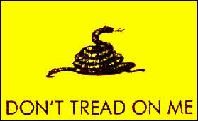 Black rebel don't tread on me embroidered hat. Don T Tread On Me The Meaning History Behind The Gadsden Flag