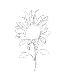 Sunflower Line Drawing Sunflower Drawing Line Drawing Tattoos Abstract Flower Art
