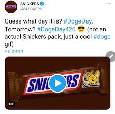 정보 약속의 그날 도지데이, 코인판에서 약속만큼 의미없는 단어는 없다. Gufhmlz8whmx3m