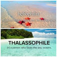 Are You A Heliophilia Or A Thalassophile Weird Words Summer Quotes Wonderful Words