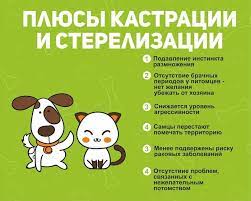 Сегодня 23 февраля поздравляют всех мужчин, независимо от их образования и отношения к силовым структурам. 23 Fevralya 2021 Kakoj Segodnya Prazdnik Primety Tradicii I Den Angela Vidkritij