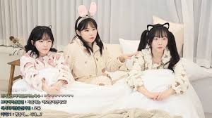 우정잉 쏘대장 진자림 파자마파티중 - 치지직 - 에펨코리아