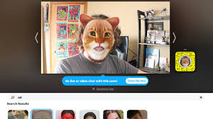The coast guard is sending a warning with this video. How To Use A Cat Filter Like The Zoom Lawyer